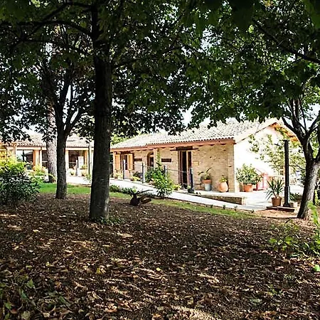 Il Cavallino 4*