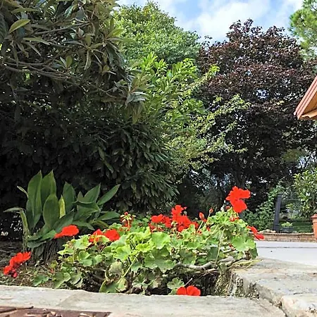 Hotel Il Cavallino