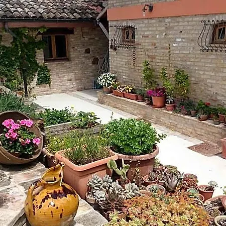 Hotel Il Cavallino 4*