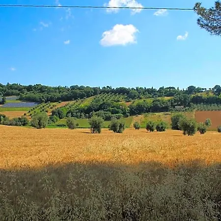 Hotel Il Cavallino Montecosaro (Marche)